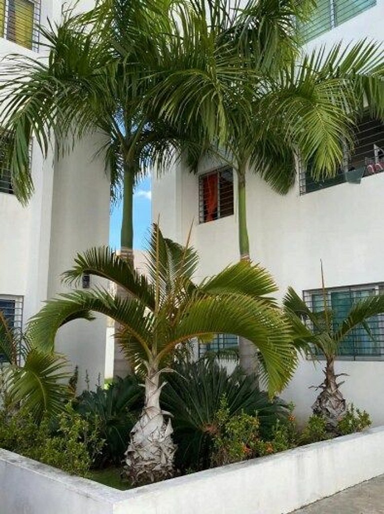 Comodas 3 Hab con AC, Wifi 1er nivel